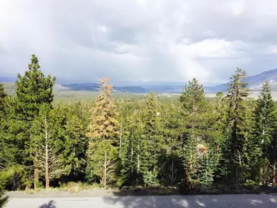 a group of trees with mountains in the background at Mammoth Point by 101 Great Escapes in Mammoth Lakes