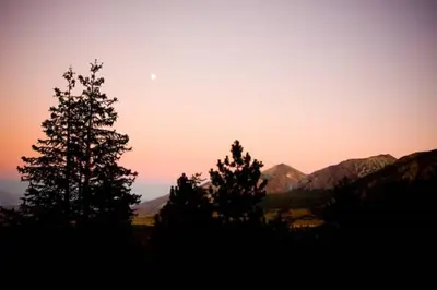 two trees in front of a sunset with mountains at Mammoth Point by 101 Great Escapes in Mammoth Lakes