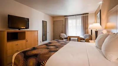 a hotel room with a bed with a flat screen tv at Best Western Palm Court Inn in Modesto