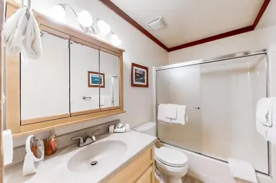 a bathroom with a sink and a toilet and a shower at Creekside Retreat in Incline Village
