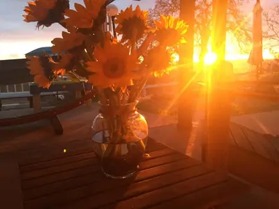 a vase filled with yellow flowers sitting on a table at Moon Ranch - a gateway to Yosemite in Mariposa
