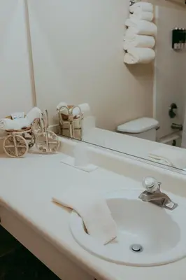 a bathroom with a sink and a mirror at Carson City Plaza Hotel in Carson City