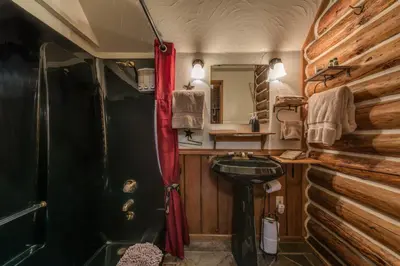 a bathroom with a sink and a wooden wall at The Davies Family Inn in Placerville