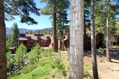 a view of the lodge through the trees at Mammoth Ski Racquet Club 115 in Mammoth Lakes