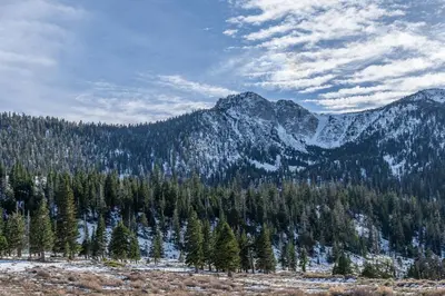 a mountain with trees and snow on it at Snowcreek V 756 in Mammoth Lakes