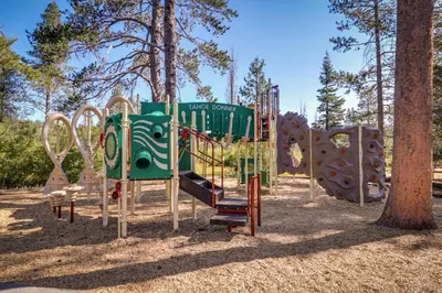 a playground in a park with a play structure at Tuna Bush in Truckee