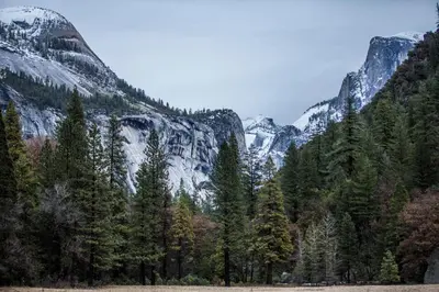 a view of a mountain with trees in front of it at Curry Village in Curry Village