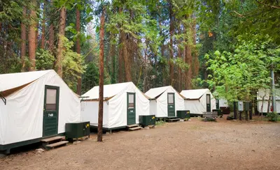 a row of white tents in a forest at Curry Village in Curry Village