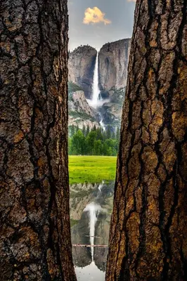 a view of a waterfall from behind a tree at Yosemite Valley Lodge in Yosemite Village