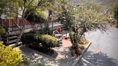 a garden with a table and a tree with pink flowers at Mariposa Lodge in Mariposa