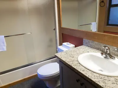 a bathroom with a sink and a toilet and a mirror at Studio Apartment in Truckee