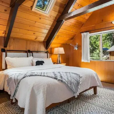 Honey Bear Cabin