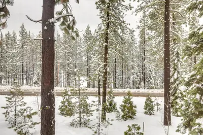 a forest covered in snow with trees in the background at 4 Mi to Skiing Truckee Escape with Deck in Truckee