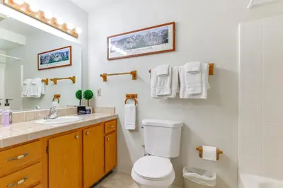 a bathroom with a toilet and a sink at Mountain Paradise about 1 Mile to Pine Mountain Lake! in Groveland