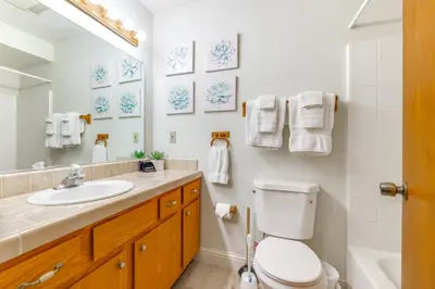 a bathroom with a sink and a toilet and a mirror at Mountain Paradise about 1 Mile to Pine Mountain Lake! in Groveland