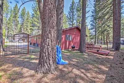 a red cabin in the woods with a tree at Hike, Bike and Ski South Lake Tahoe Retreat in South Lake Tahoe