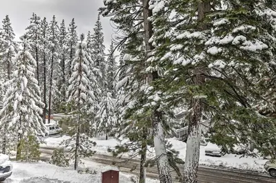 a group of trees with snow on them at Incline Village Retreat Near Skiing and Beaches in Incline Village