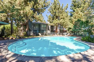 a large swimming pool in a yard with trees at Sierra Park Villas N-#66 in Mammoth Lakes