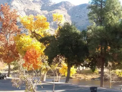 a group of trees with mountains in the background at Kern Riverview Inn in Kernville