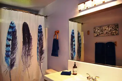 a bathroom with a sink and a mirror with surfboards at Blue Jay Paradise in Three Rivers