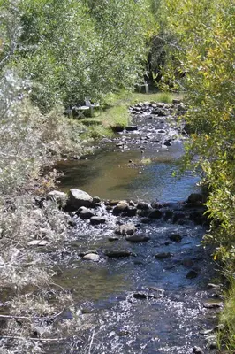a river with rocks and trees on the side at Virginia Creek Settlement in Bridgeport