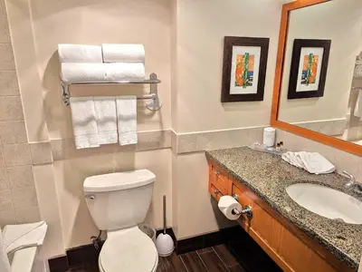 a bathroom with a toilet and a sink and a mirror at Marriott Grand Res Q2 #3167 in South Lake Tahoe