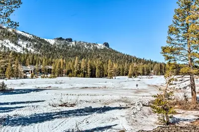 a snow covered field with trees and a mountain at Walk to Ski Lift and Village Lovely Kirkwood Condo! in Kirkwood