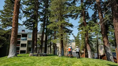 two people riding bikes in front of a building with trees at Remodeled 2 Bedroom Condo with Amazing Views! in Mammoth Lakes