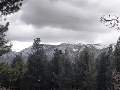 a black and white photo of a mountain with trees at Ventura Grand Inn in Mammoth Lakes