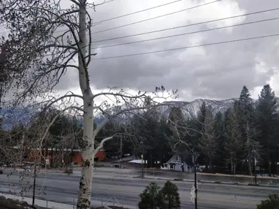 a view of a street with a tree and mountains at Ventura Grand Inn in Mammoth Lakes