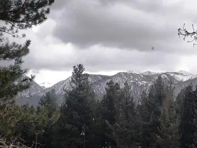 a view of a mountain range with trees in the foreground at Ventura Grand Inn in Mammoth Lakes