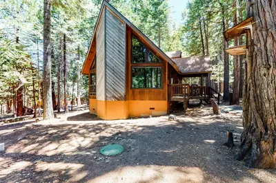 a tiny house in the woods with a tree at The Arrow House in Camp Connell