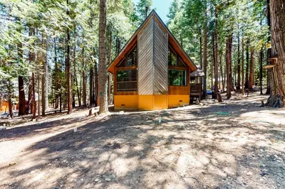 a small cabin in the middle of a forest at The Arrow House in Camp Connell