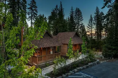 a wooden house in the middle of a forest at Cedar Crest - Chickadee Cottage 2 in Homewood