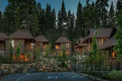a home in the woods with a lot of trees at Cedar Crest - Osprey Cottage 3 in Homewood