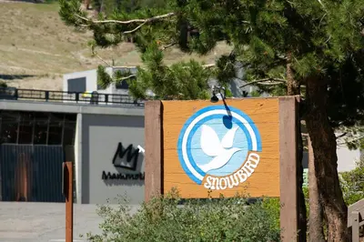 a sign for a store with a white bird on it at One Bedroom Condo Close To Canyon Lodge! in Mammoth Lakes