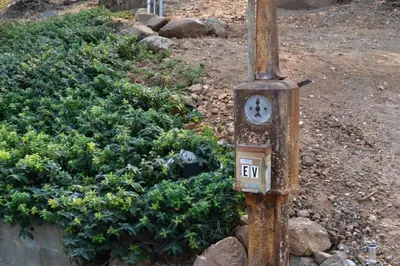 a wooden pole with a clock on it next to a bush at In The Oaks in Three Rivers