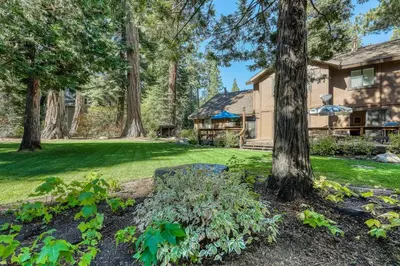 a yard with a house and trees and a house at Homewood Bliss in Homewood