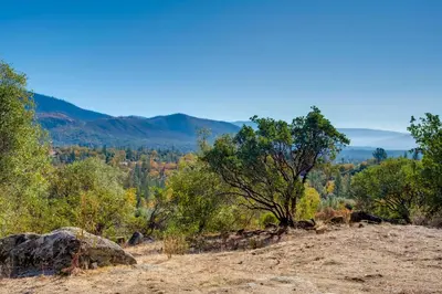 a view from the top of a hill with trees at Secluded Mountain Hideaway Less Than 8 Miles to Bass Lake! in North Fork