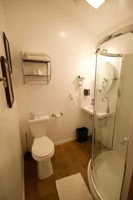 a bathroom with a toilet and a shower at Yosemite Bug Rustic Mountain Resort in Midpines