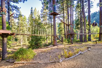 a group of trees with ropes in a forest at Unit 18A at Granlibakken in Tahoe City
