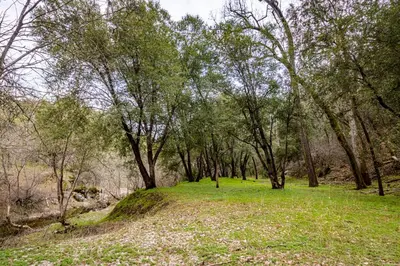 a field of grass with trees in the background at Spectacular Views w/ Hot Tub/BBQ -Yosemite & Bass Lake in Oakhurst