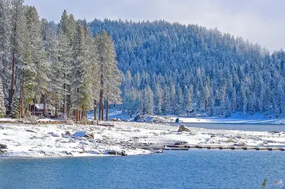 a body of water with snow on the ground and trees at Lake Therapy in Lakeshore
