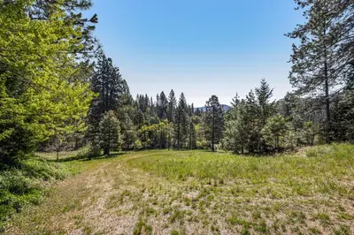 a dirt road in a field with trees at Yosemite Mountain Cottage in Groveland