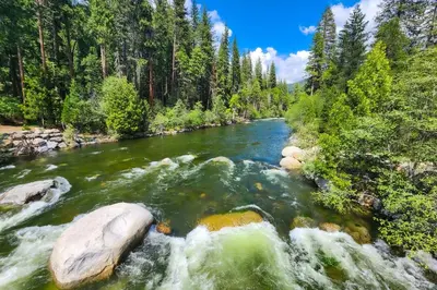 a river in the middle of a forest at Snowpeak Chalet in Camp Connell
