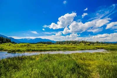 a river in a field with mountains in the background at Sierra Dream in South Lake Tahoe