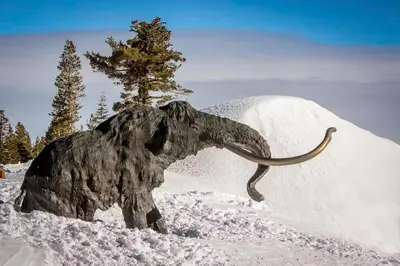 a statue of an animal in the snow at Condos 1849 #102 in Mammoth Lakes