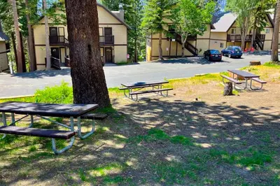 a group of picnic tables sitting next to a tree at Mammoth View Villas 24 in Mammoth Lakes