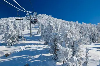 a ski lift with snow covered trees on a ski slope at Mammoth View Villas 24 in Mammoth Lakes