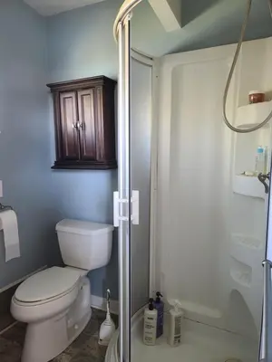 a bathroom with a toilet and a shower at Year-round fishing, boating, birding, 1 hr from SF in Walnut Grove